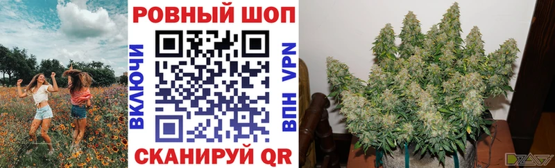 Купить закладку СОЛЬ  Амфетамин  Меф  ГАШ  КОКАИН  Марихуана  Волосово