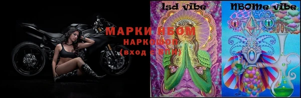 mix Щигры