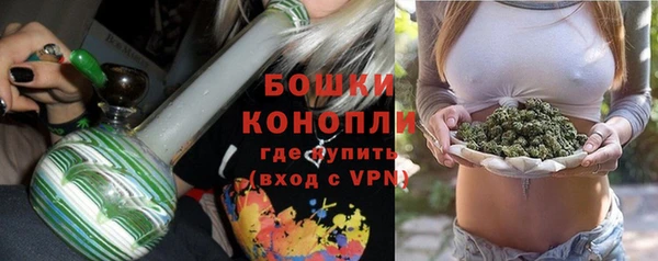 спиды Щучье