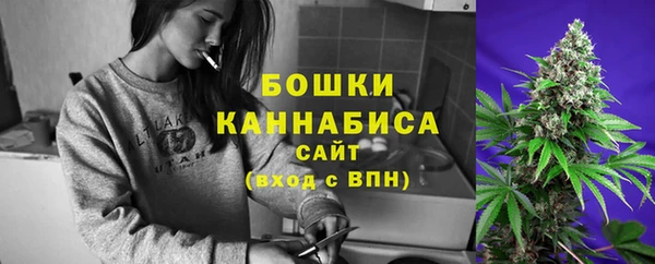 спиды Щучье