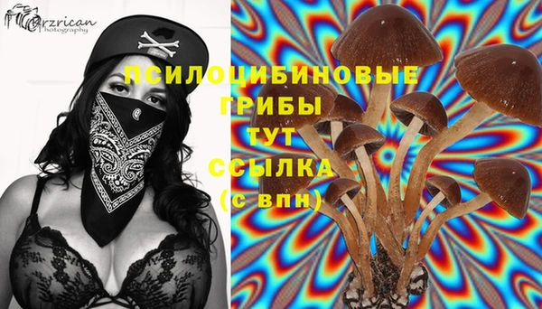 спиды Щучье
