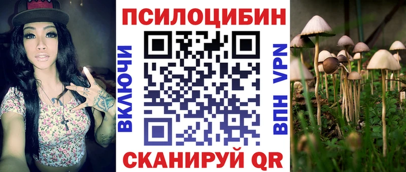Купить закладки  Волосово  Псилоцибиновые грибы мухоморы 